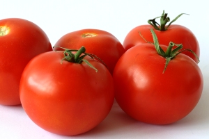 tomato-India